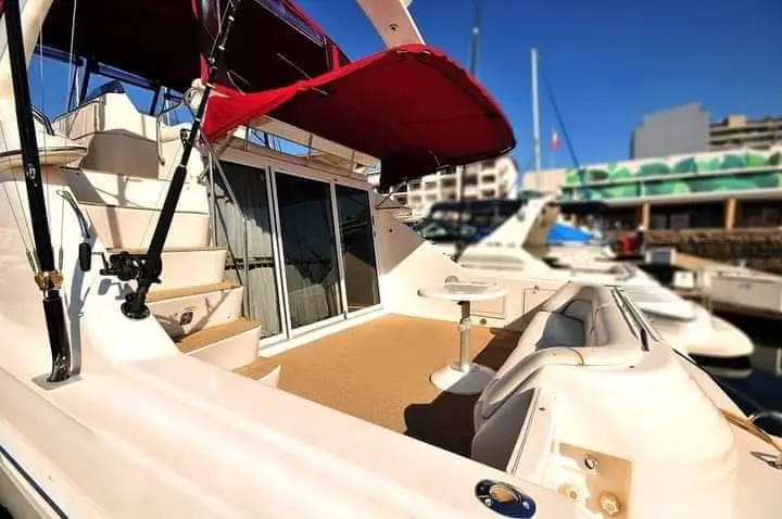 WhatsApp Image 2026-02-13 at 16.41.08 (1)