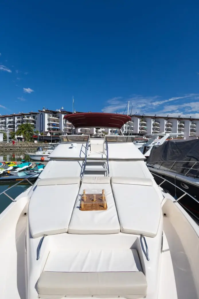 WhatsApp Image 2026-02-13 at 16.41.09 (1)