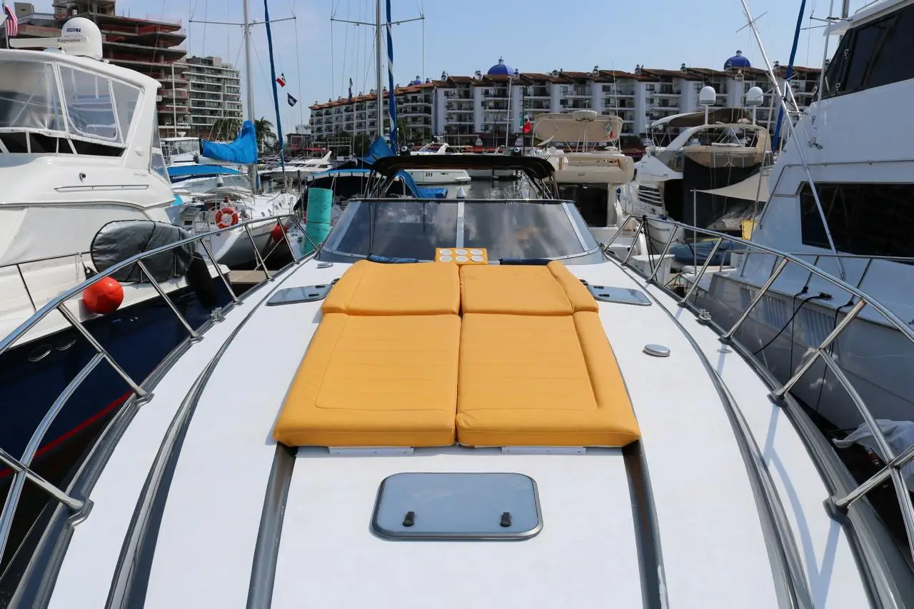 WhatsApp Image 2026-02-13 at 16.43.06 (2)